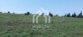 Продава ПАРЦЕЛ, Гърция, Халкидики • 400000 € / 782332.00 лв. • 23375139 10 — Holmes.bg Продава ПАРЦЕЛ, Гърция, Халкидики • 400000 € / 782332.00 лв. • 23375139 10