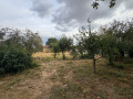 Продава КЪЩА, област София, с. Петково • 245000 € • 47091512 10 — Holmes.bg Продава КЪЩА, област София, с. Петково • 245000 € • 47091512 10