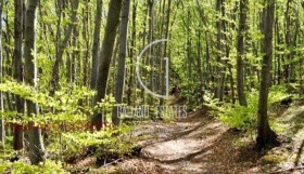 ПАРЦЕЛ, 3 100 m2 - Holmes.bg ПАРЦЕЛ, 3 100 m2