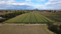 Продава ПАРЦЕЛ, град Пловдив, Коматево • 600000 € • 12107020 3 — Holmes.bg Продава ПАРЦЕЛ, град Пловдив, Коматево • 600000 € • 12107020 3