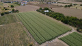 Продава ПАРЦЕЛ, град Пловдив, Коматево • 600000 € • 12107020 4 — Holmes.bg Продава ПАРЦЕЛ, град Пловдив, Коматево • 600000 € • 12107020 4