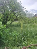 Продава ПАРЦЕЛ, град Варна, м-т Долна Трака • 220000 € / 430282.60 лв. • 40327301 3 — Holmes.bg Продава ПАРЦЕЛ, град Варна, м-т Долна Трака • 220000 € / 430282.60 лв. • 40327301 3