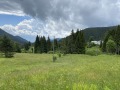 Продава ПАРЦЕЛ, област Пазарджик, гр. Батак • 20000 € / 39116.60 лв. • 92883403 3 — Holmes.bg Продава ПАРЦЕЛ, област Пазарджик, гр. Батак • 20000 € / 39116.60 лв. • 92883403 3