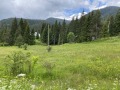 Продава ПАРЦЕЛ, област Пазарджик, гр. Батак • 20000 € / 39116.60 лв. • 92883403 7 — Holmes.bg Продава ПАРЦЕЛ, област Пазарджик, гр. Батак • 20000 € / 39116.60 лв. • 92883403 7