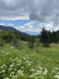 Продава ПАРЦЕЛ, област Пазарджик, гр. Батак • 20000 € / 39116.60 лв. • 92883403 2 — Holmes.bg Продава ПАРЦЕЛ, област Пазарджик, гр. Батак • 20000 € / 39116.60 лв. • 92883403 2