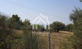 Продава ПАРЦЕЛ, Гърция, Халкидики • 200000 € / 391166.00 лв. • 62638141 14 — Holmes.bg Продава ПАРЦЕЛ, Гърция, Халкидики • 200000 € / 391166.00 лв. • 62638141 14