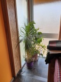 Под наем ЕТАЖ ОТ КЪЩА, град Кърджали, Веселчане • 200 € / 391.17 лв. • 23720801 7 — Holmes.bg Под наем ЕТАЖ ОТ КЪЩА, град Кърджали, Веселчане • 200 € / 391.17 лв. • 23720801 7