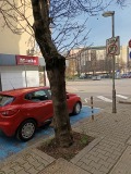Под наем ГАРАЖ, ПАРКОМЯСТО, град София, Център • 250 € • 33533924 9 — Holmes.bg Под наем ГАРАЖ, ПАРКОМЯСТО, град София, Център • 250 € • 33533924 9