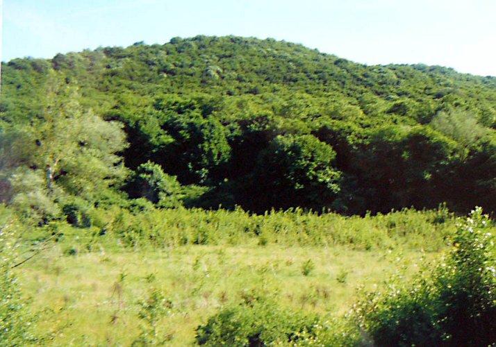 Продава  Земеделска земя област Варна , с. Любен Каравелово , река Батова, 36 дка | 57992097