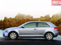 Technical specifications and characteristics for【Audi A3 (8P)】