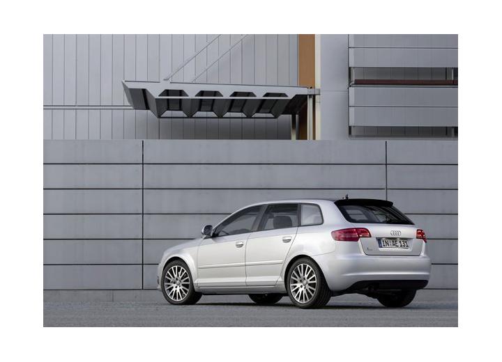 Audi A3 A3 Sportback (8P) • 2.0 TDI (170 Hp) quattro DPF technical  specifications and fuel consumption —