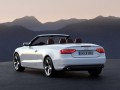 Technical specifications and characteristics for【Audi A5 Cabriolet (8F7)】