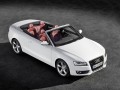 Technical specifications and characteristics for【Audi A5 Cabriolet (8F7)】