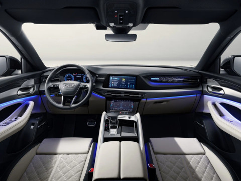 Τεχνικά χαρακτηριστικά για Audi Q6