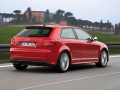 Technical specifications and characteristics for【Audi S3 (8P)】