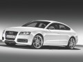 Technical specifications and characteristics for【Audi S5 Liftback】