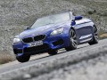 Technical specifications and characteristics for【BMW M6 Cabrio (F13)】