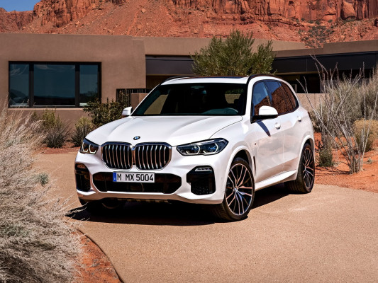 BMW X5 X5 IV (G05) 3.0d AT (265hp) 4x4