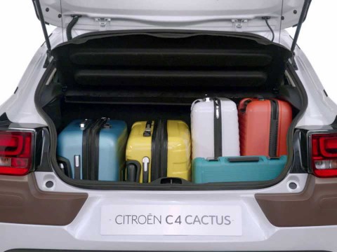 Technical specifications and characteristics for【Citroen C4 Cactus】