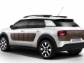 Technical specifications and characteristics for【Citroen C4 Cactus】