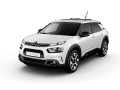 Technical specifications of the car and fuel economy of Citroen C4 Cactus