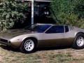 Technical specifications and characteristics for【De Tomaso Mangusta】