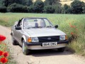 Ford Escort Escort III Cabrio (ALD) 1.3 (69 Hp) full technical specifications and fuel consumption