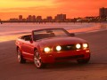 Ford Mustang Mustang Convertible V 4.6 i V8 24V (300 Hp) full technical specifications and fuel consumption