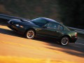 Ford Mustang Mustang IV 4.6 V8 Cobra (305 Hp) full technical specifications and fuel consumption