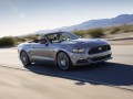 Ford Mustang Mustang VI Cabriolet 2.3 (317hp) full technical specifications and fuel consumption