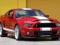Technische Daten von Fahrzeugen und Kraftstoffverbrauch Ford Shelby