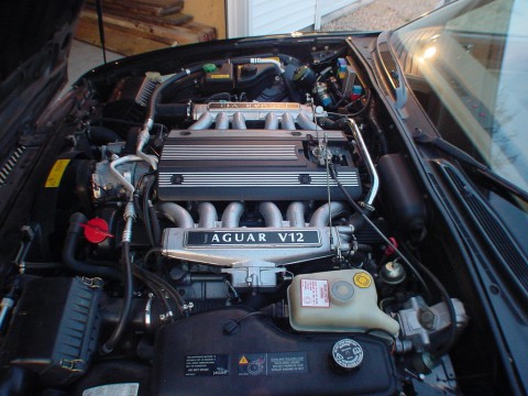 Τεχνικά χαρακτηριστικά για Jaguar XJ (XJ40/XJ81)