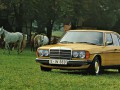Mercedes-Benz 200 200 (W123) 200 D (60Hp) full technical specifications and fuel consumption
