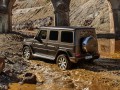 Technical specifications and characteristics for【Mercedes-Benz G-Klasse (W464)】