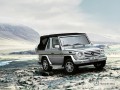  Caractéristiques techniques complètes et consommation de carburant de Mercedes-Benz G-Klasse G-Klasse cabriolet (W463) G 320 CDI (224 Hp)