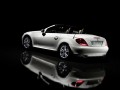 Technical specifications and characteristics for【Mercedes-Benz SLK-klasse II (R171) Restyling】