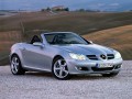 Technical specifications and characteristics for【Mercedes-Benz SLK-klasse II (R171)】