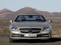 Mercedes-Benz SLK-klasse SLK-klasse III (R172) 250 CDI 2.1d (204hp) full technical specifications and fuel consumption