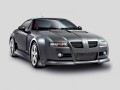 MG Xpower SV Xpower SV 4.6 i V8 32V (320 Hp) full technical specifications and fuel consumption