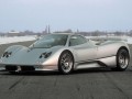 Technical specifications of the car and fuel economy of Pagani Zonda C12