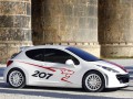 Technische Daten und Spezifikationen für Peugeot 207