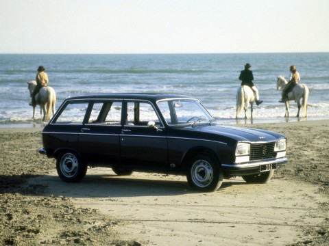 Technical specifications and characteristics for【Peugeot 304 Break】