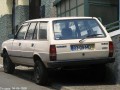 Technical specifications and characteristics for【Peugeot 305 I Break (581D)】