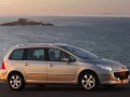 Technical specifications and characteristics for【Peugeot 307 Station Wagon】