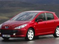 Technical specifications and characteristics for【Peugeot 307】