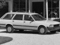 Technical specifications and characteristics for【Peugeot 505 Break (551D)】