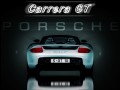 Caratteristiche tecniche di Porsche Carrera GT