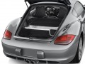 Porsche Cayman Cayman 3.4 Cayman S (295 Hp) full technical specifications and fuel consumption