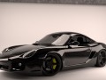 Τεχνικά χαρακτηριστικά για Porsche Cayman