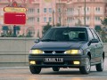 Technical specifications and characteristics for【Renault 19 II (B/C53)】